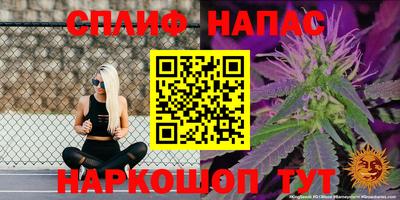 эйфоретик Шелехов