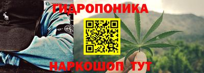 эйфоретик Шелехов