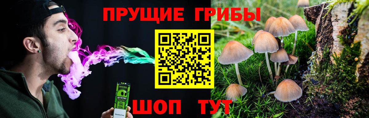 Баксан  Галлюциногенные грибы GOLDEN TEACHER  Псилоцибиновые грибы Magic Shrooms  Вход с VPN 