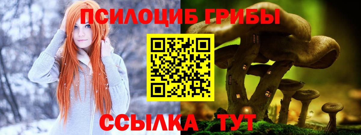 Галлюциногенные грибы Magic Shrooms Баксан