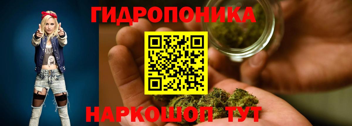 Канабис ГИДРОПОН Баксан